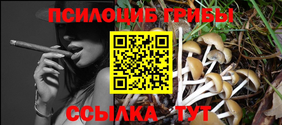 Псилоцибиновые грибы мицелий  Вход с VPN  даркнет сайт  Нягань 
