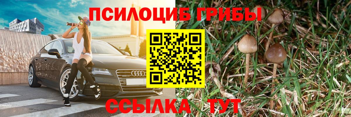 Псилоцибиновые грибы ЛСД Нягань